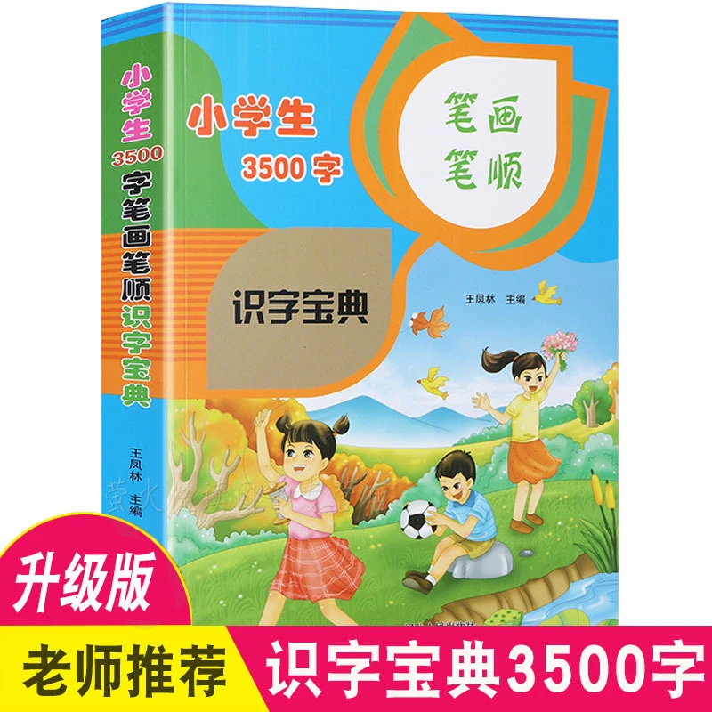 小学生字表3500字笔画笔顺识字小学生认字宝典王凤林编汉字通解