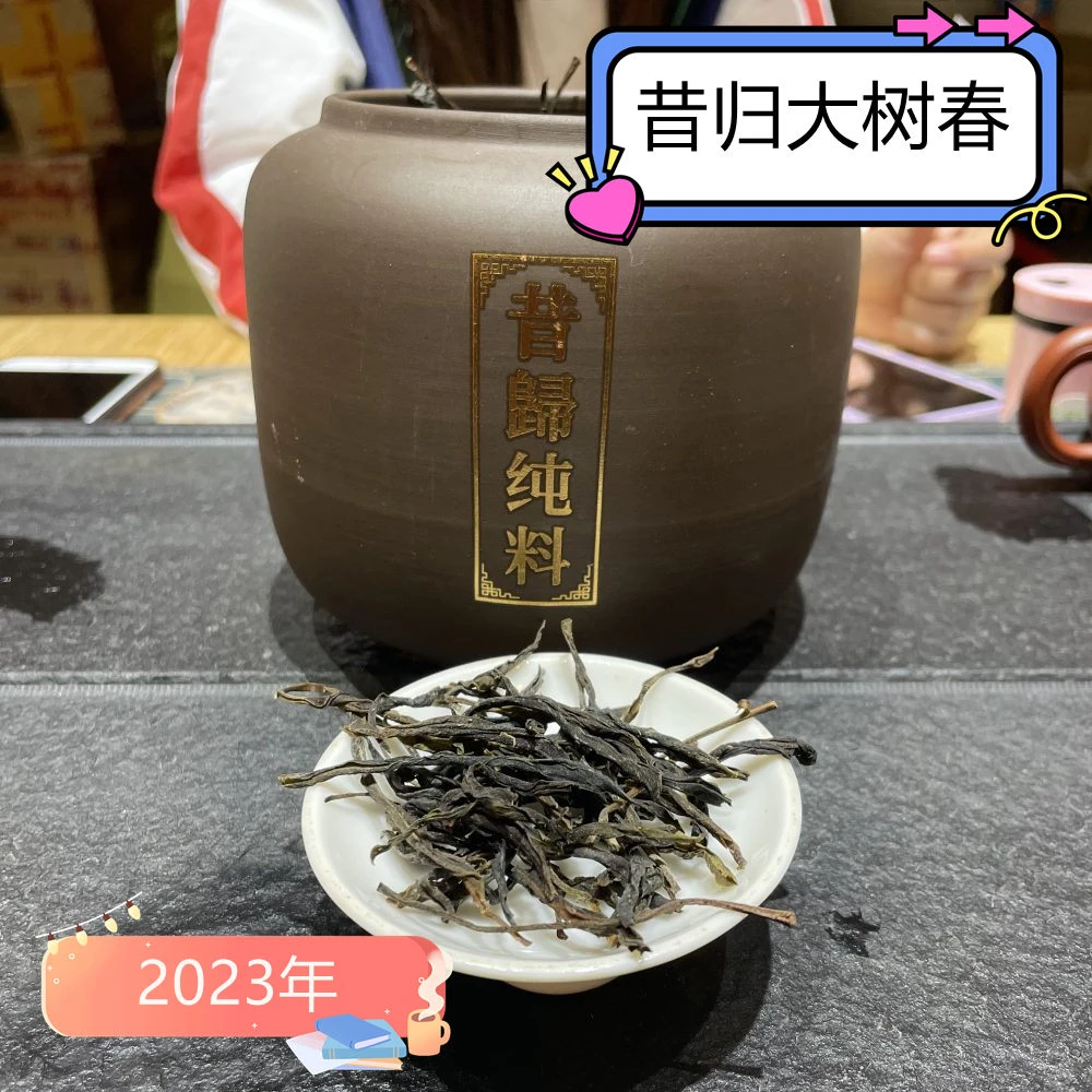 2023年昔归大树春挑采忙麓山普洱茶生茶50克/500克