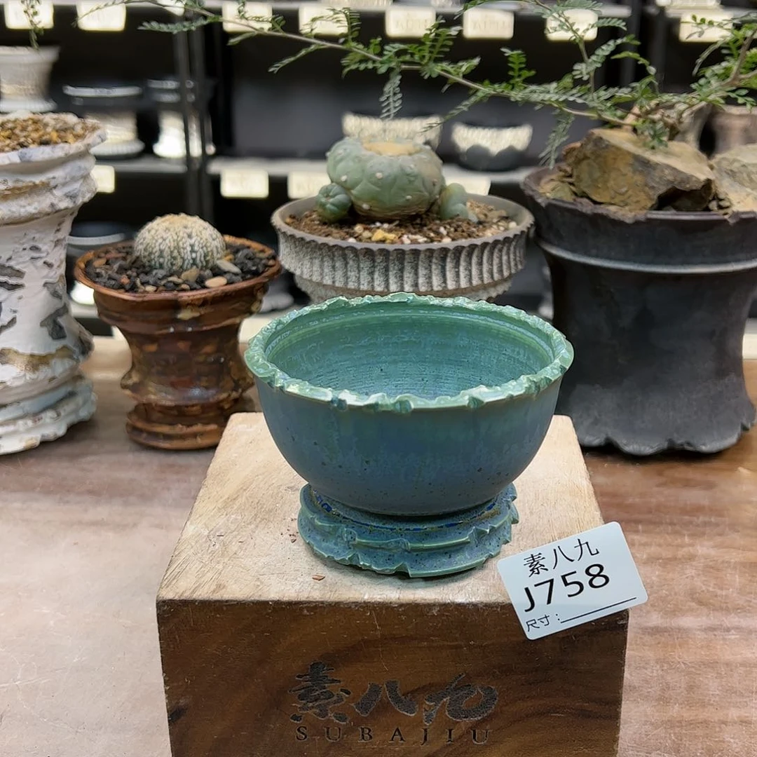 素八九陶瓷陶瓷口9.5高7.5
