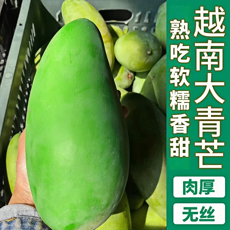 正宗越南大青芒超大果肉厚核薄整箱9斤青皮芒果高品质