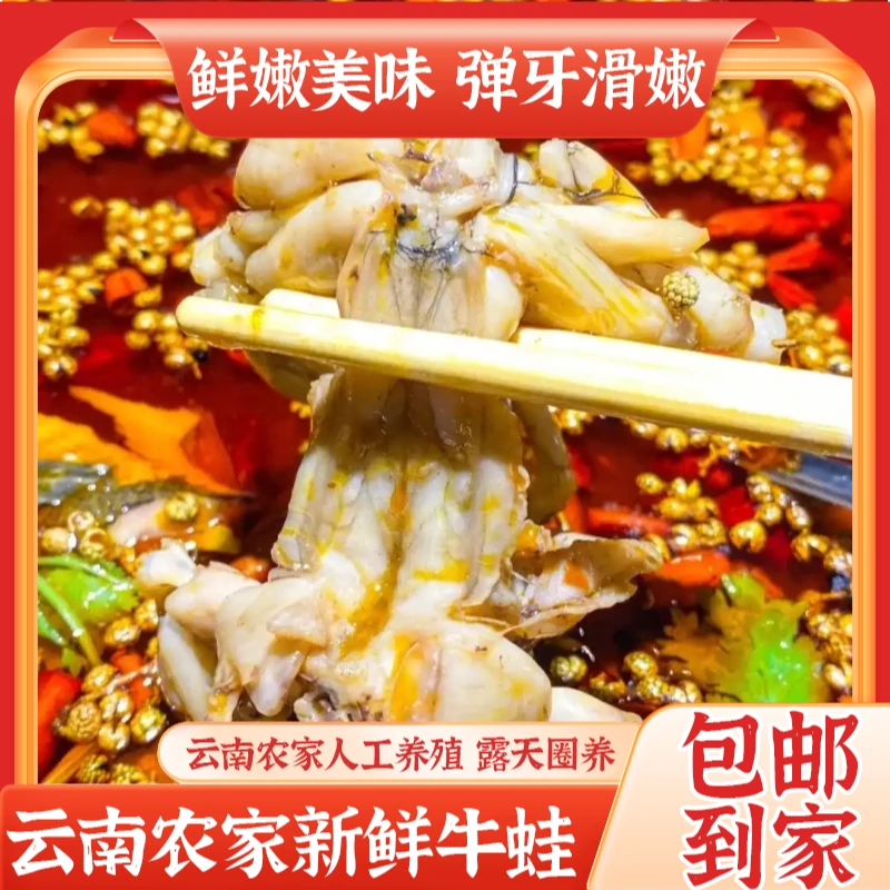 云南散养鲜活现杀牛蛙 去头去皮去内脏免处理速冻牛蛙 顺丰包邮