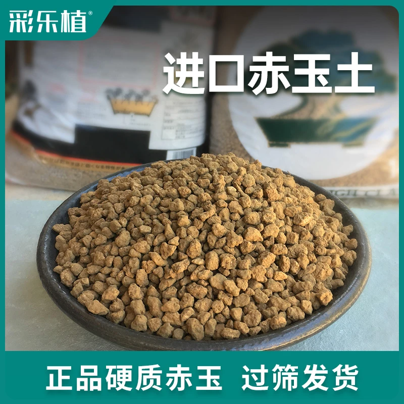 日本进口赤玉土硬质颗粒植物二本线铺面石盆景微酸