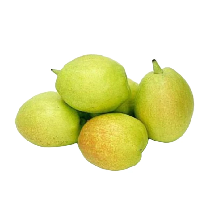 【库尔勒香梨香梨】