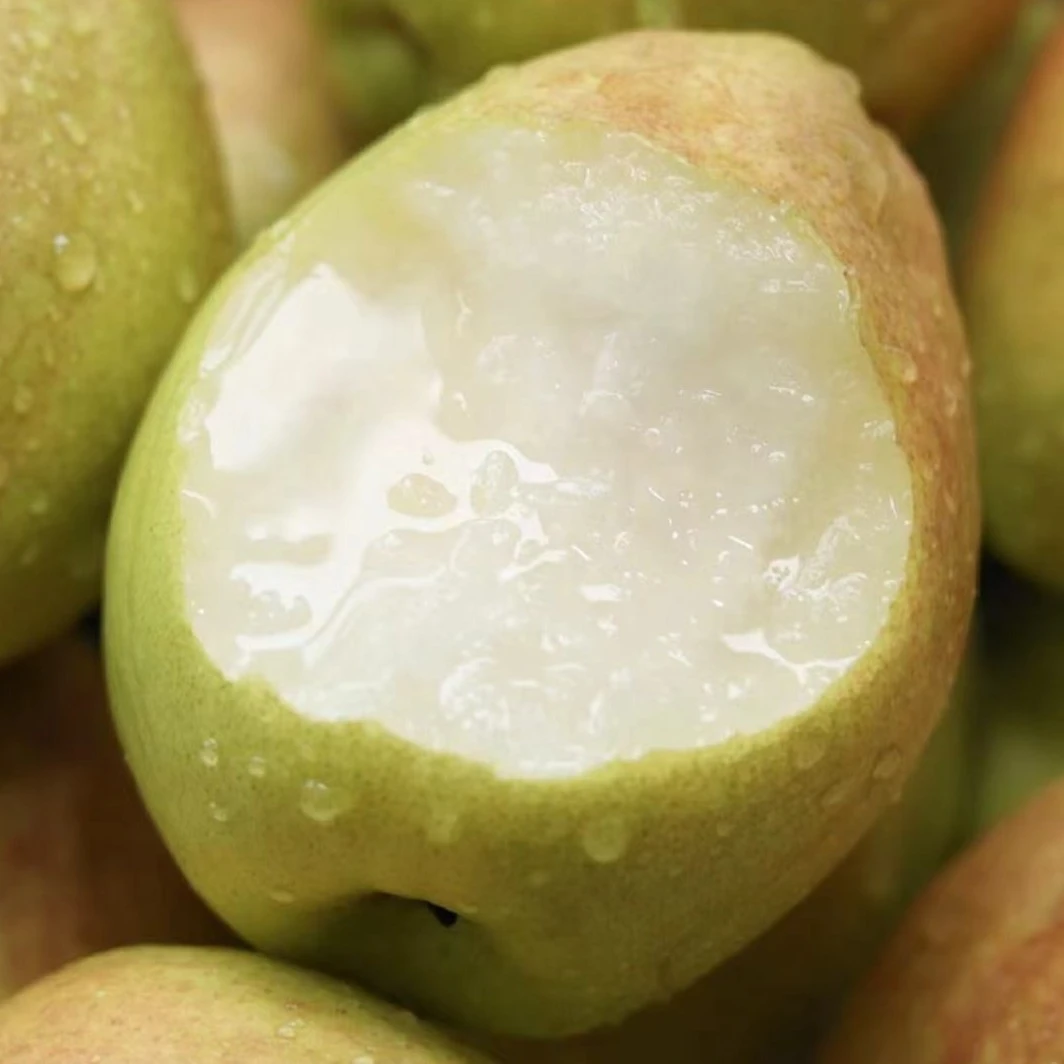 新疆库尔勒香梨1箱（净重5斤）