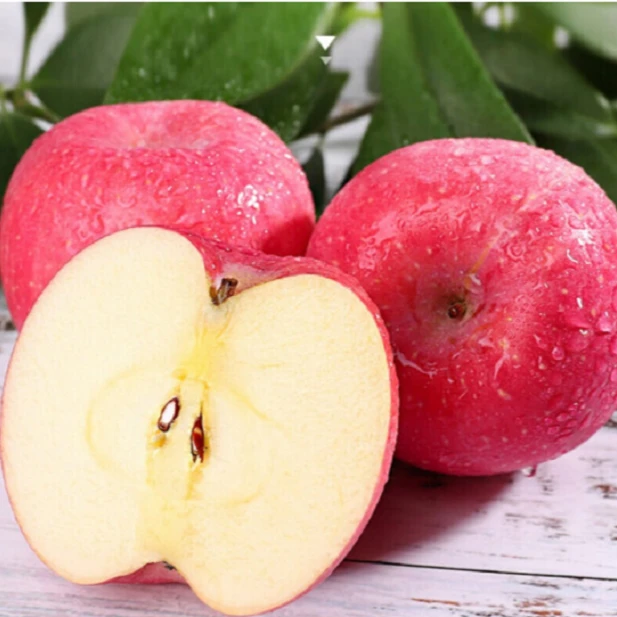 陕西富士苹果4.5斤/10斤左右时令新鲜水果自家果园现摘直发