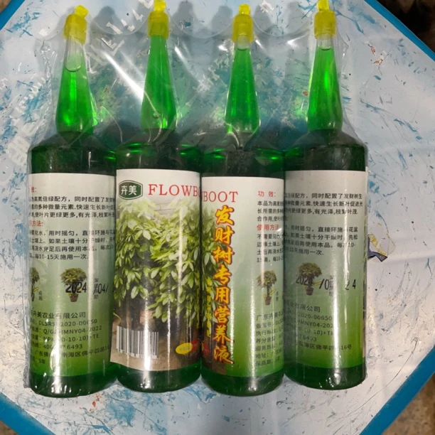 发财树专用营养液4支套装盆栽大棵