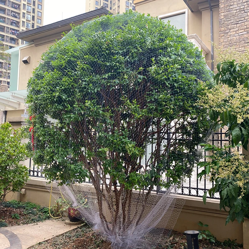 精选防鸟用的网农用防鸟丝网果园天网嘉宝精选防鸟罩子阳台防鸟网
