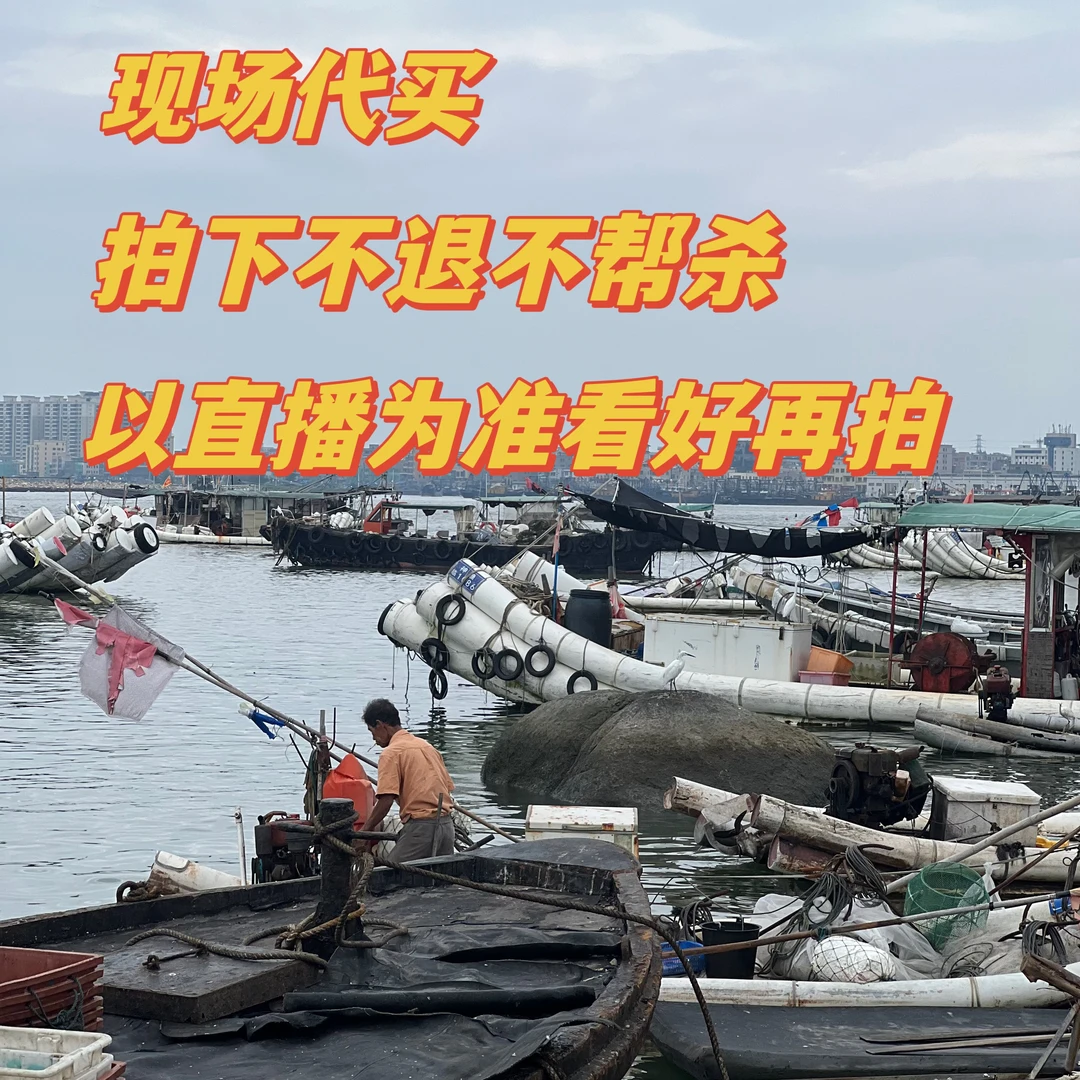 惠来澳角码头浅海杂鱼5斤直播间改价直发
