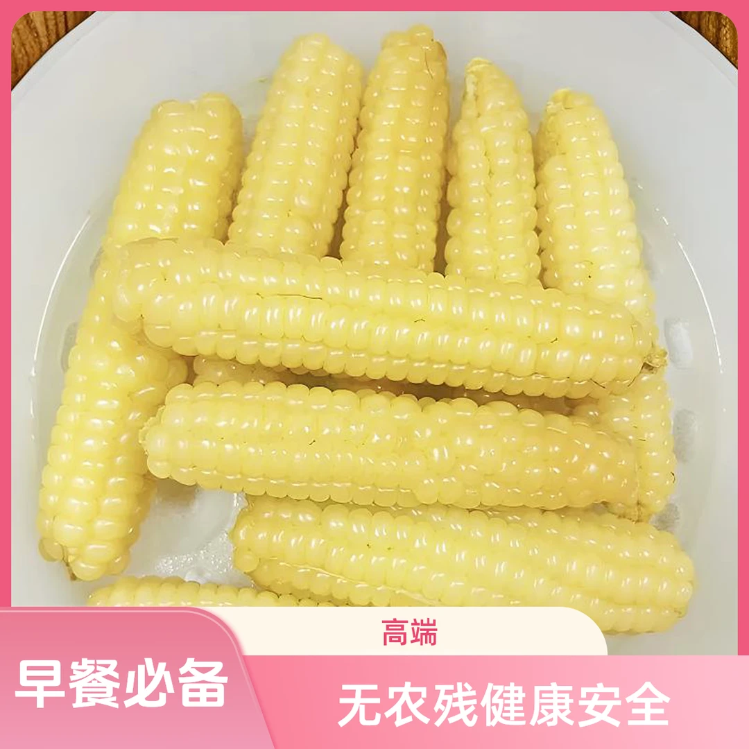 【小松哥】正宗云南腾冲香糯拇指玉米香甜软糯早餐必备3斤包邮到家