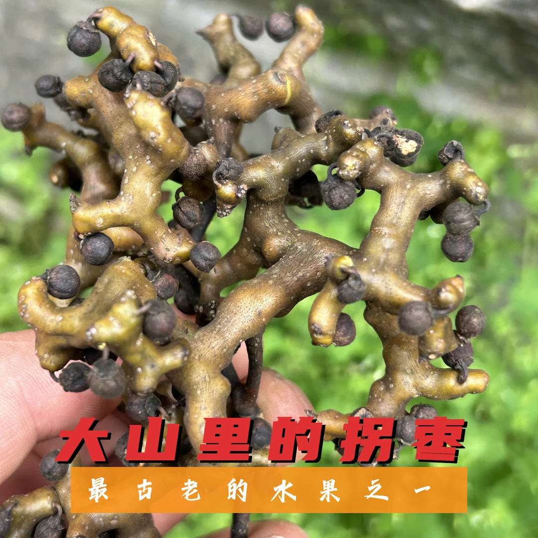 【小松哥】云南腾冲特产野生拐枣1斤包邮