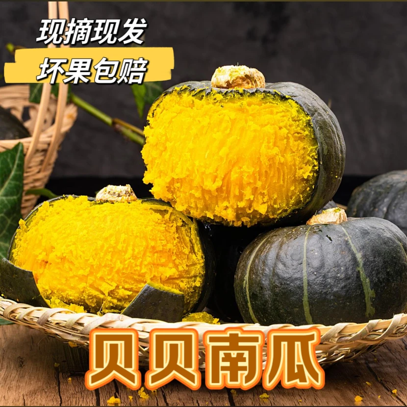 现摘现发贝贝南瓜4.5斤-5斤【不粉包赔】