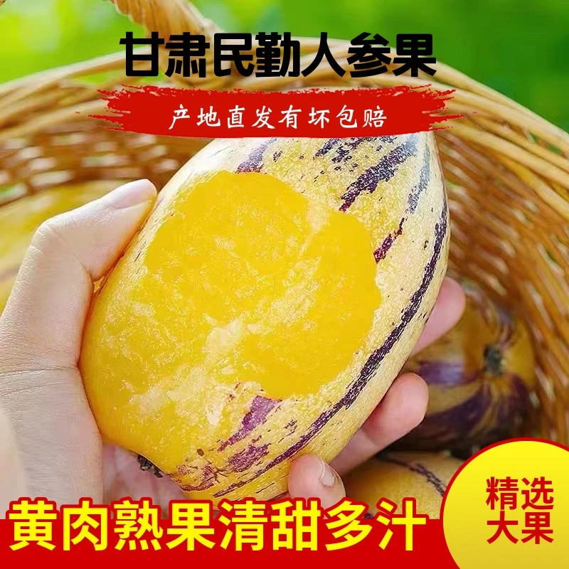 人参果甘肃产地直发清甜黄肉人参果新茬民勤人参果低糖孕妇水果