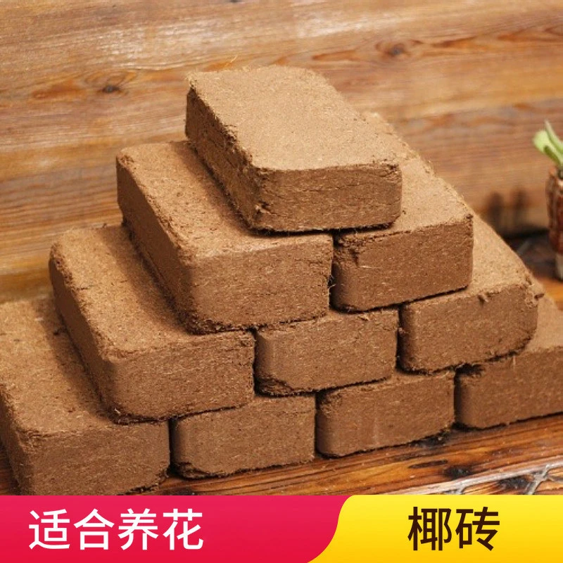 【新疆包邮】椰砖营养土有机养花蔬菜多肉植物营养土