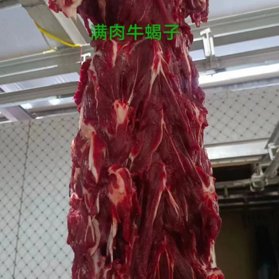 【女硕士推荐 】黄牛  牛蝎子3斤