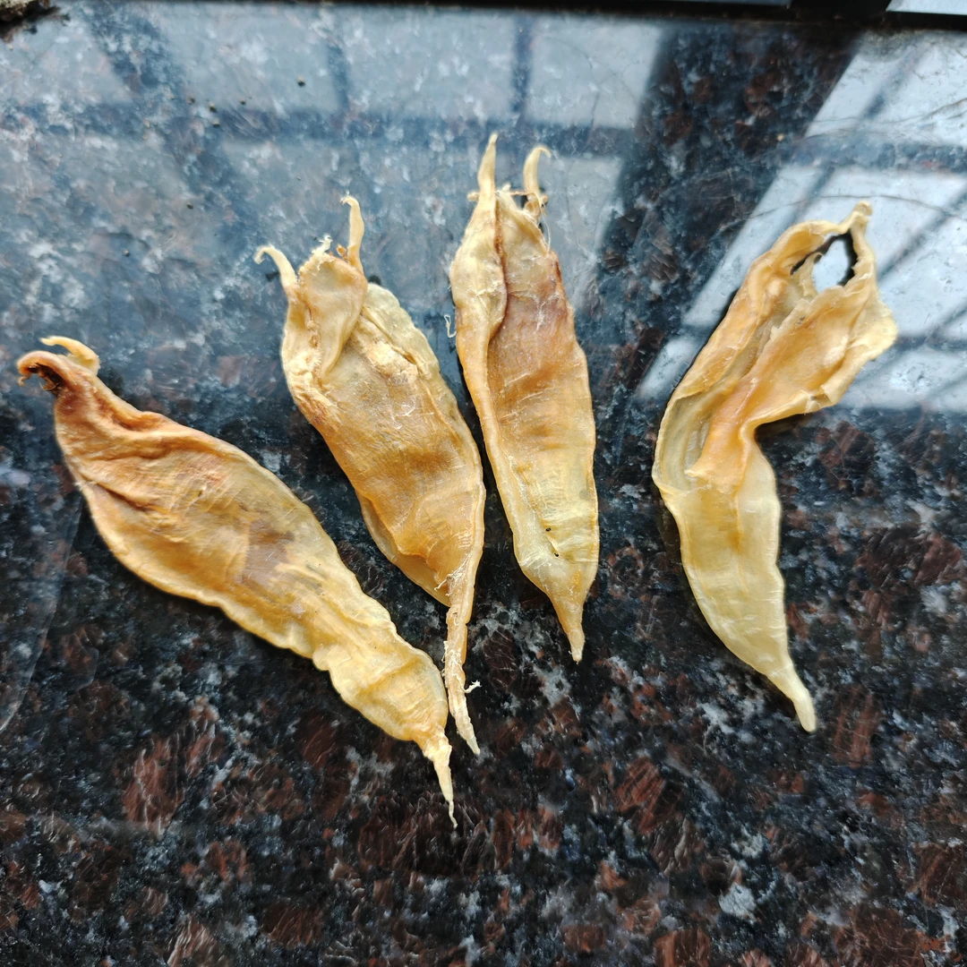 天然 北海尖尾 鱼胶 色泽自然金黄 胶质饱满