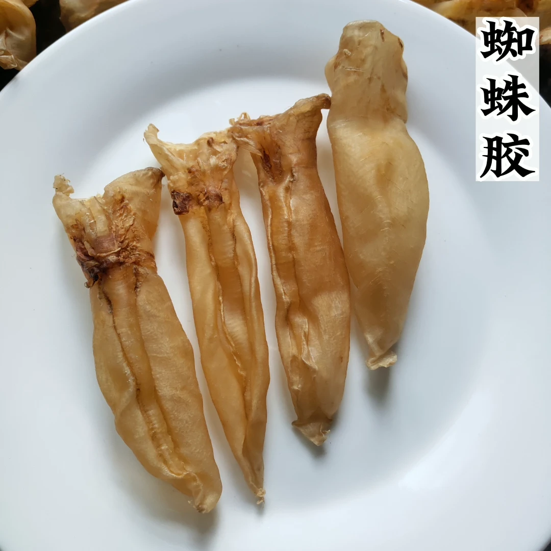 蜘蛛胶 天然鱼胶 老胶