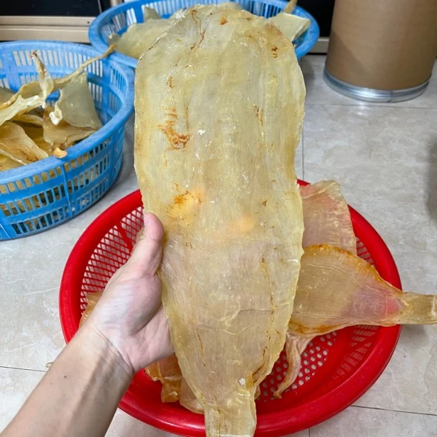 汕头南澳  大规格竹叶胶老胶煲汤胶  1-500克