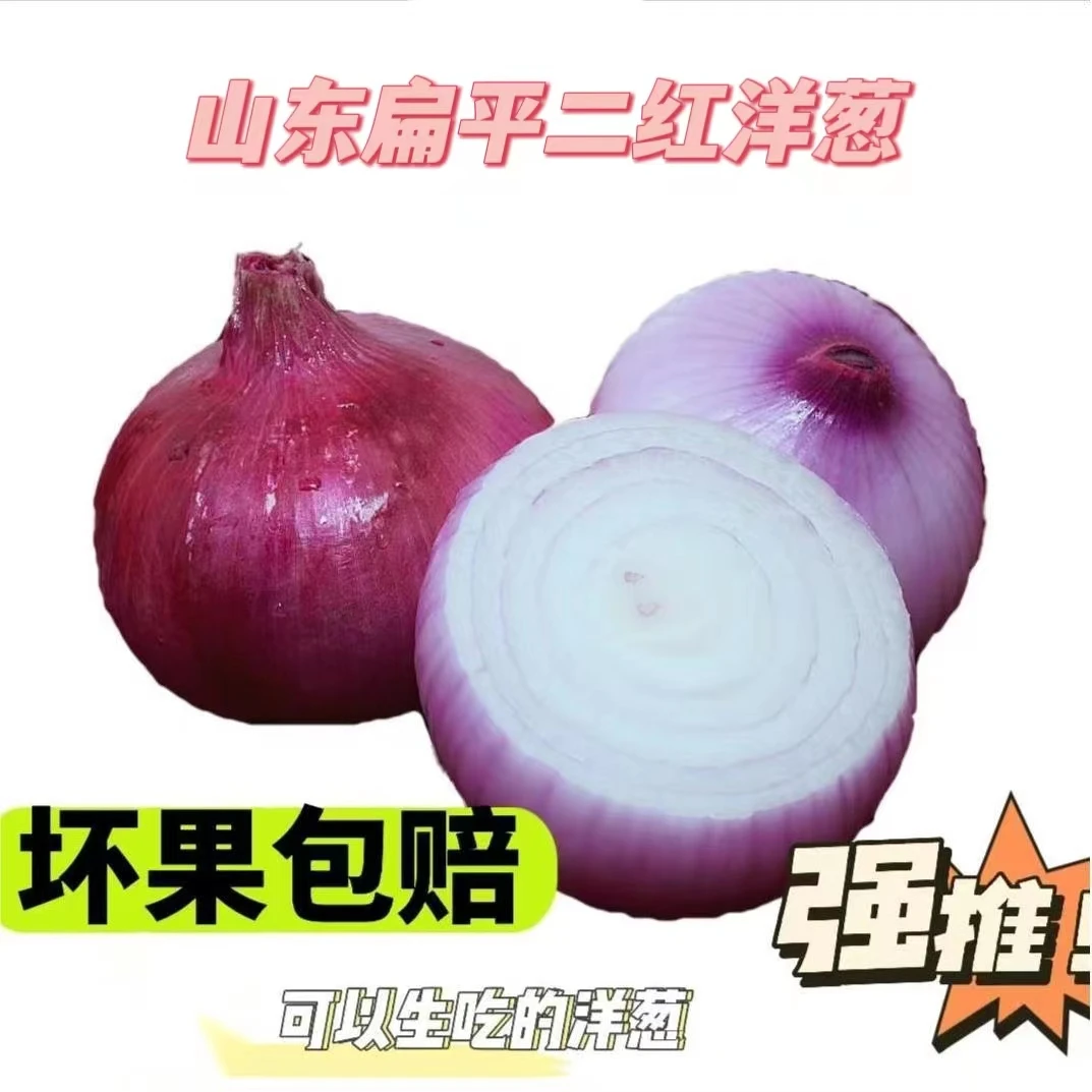 2023山东扁平二红洋葱生吃不辣微甜可以当水果吃小果5斤