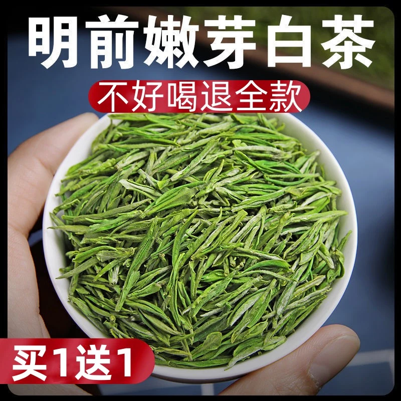 试喝一泡新茶高山白茶绿茶明前正宗白茶茶叶春茶高当绿茶手工泡茶
