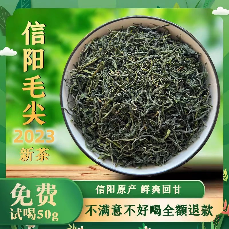 免费试喝】毛尖信阳2023新茶雨前头茬新采摘自产自销信阳本地茶