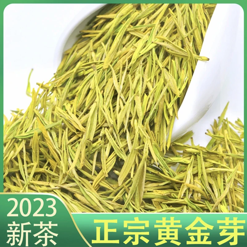 【免费试喝一泡】黄金芽白茶明前高山2023年新茶茶叶正宗散口粮手