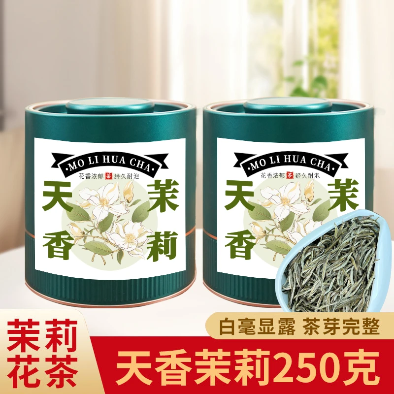 崂茗茉莉花茶天香茉莉罐装浓香型茶叶九窨福派茉莉花茶