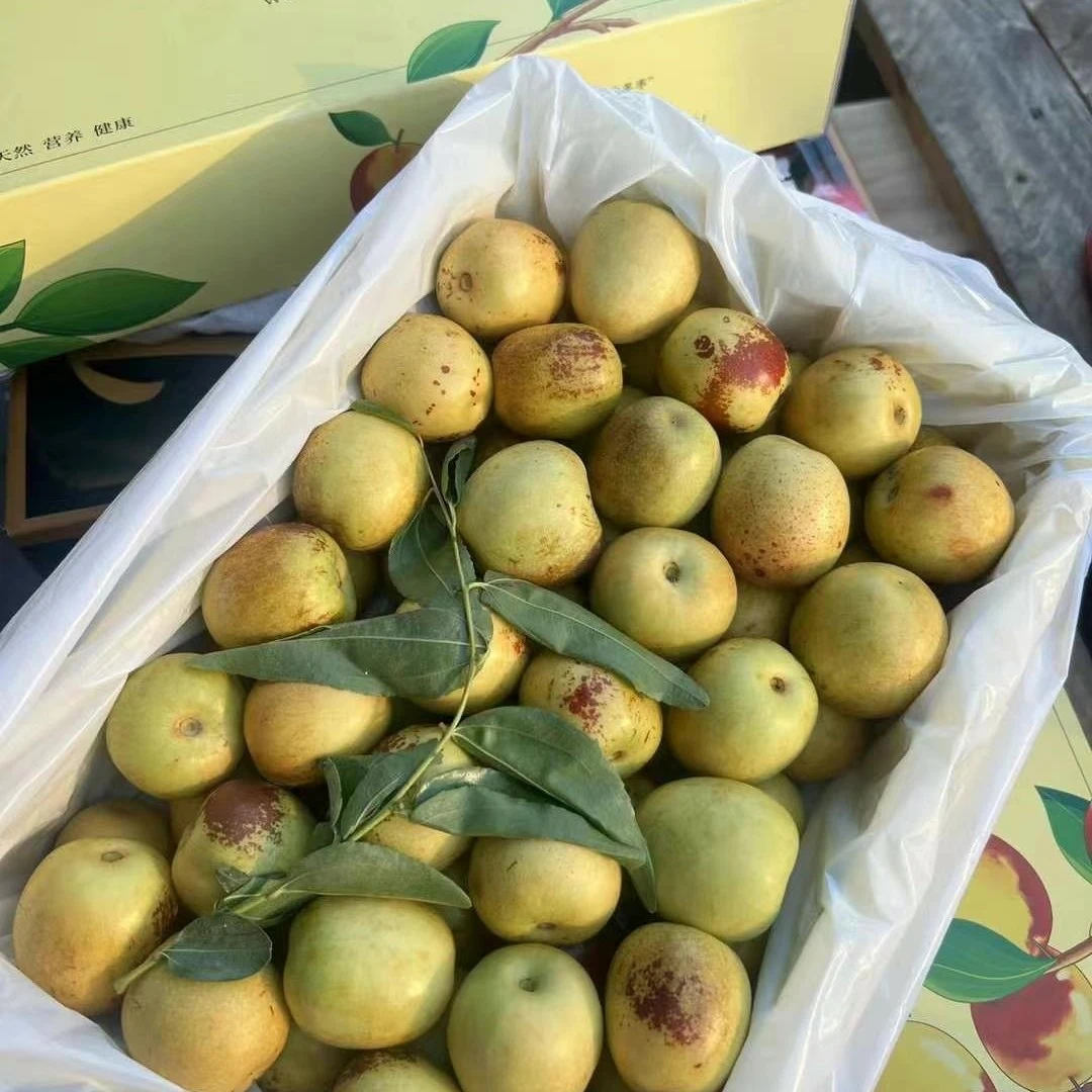 【次日达】天下无糖脆冬枣 大荔冬枣 脆甜化渣 礼盒装2.5斤 双福发货顺丰