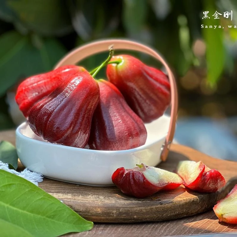 三亚莲雾 黑金刚精品礼盒四斤装大果新疆 蒙古东北西北三省不发货