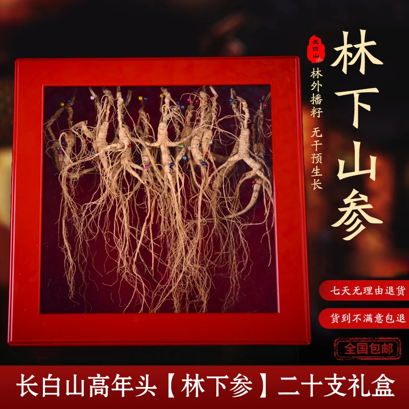 【正品保证】长白山林下参，品相好，精美礼盒高龄老参16-20支装