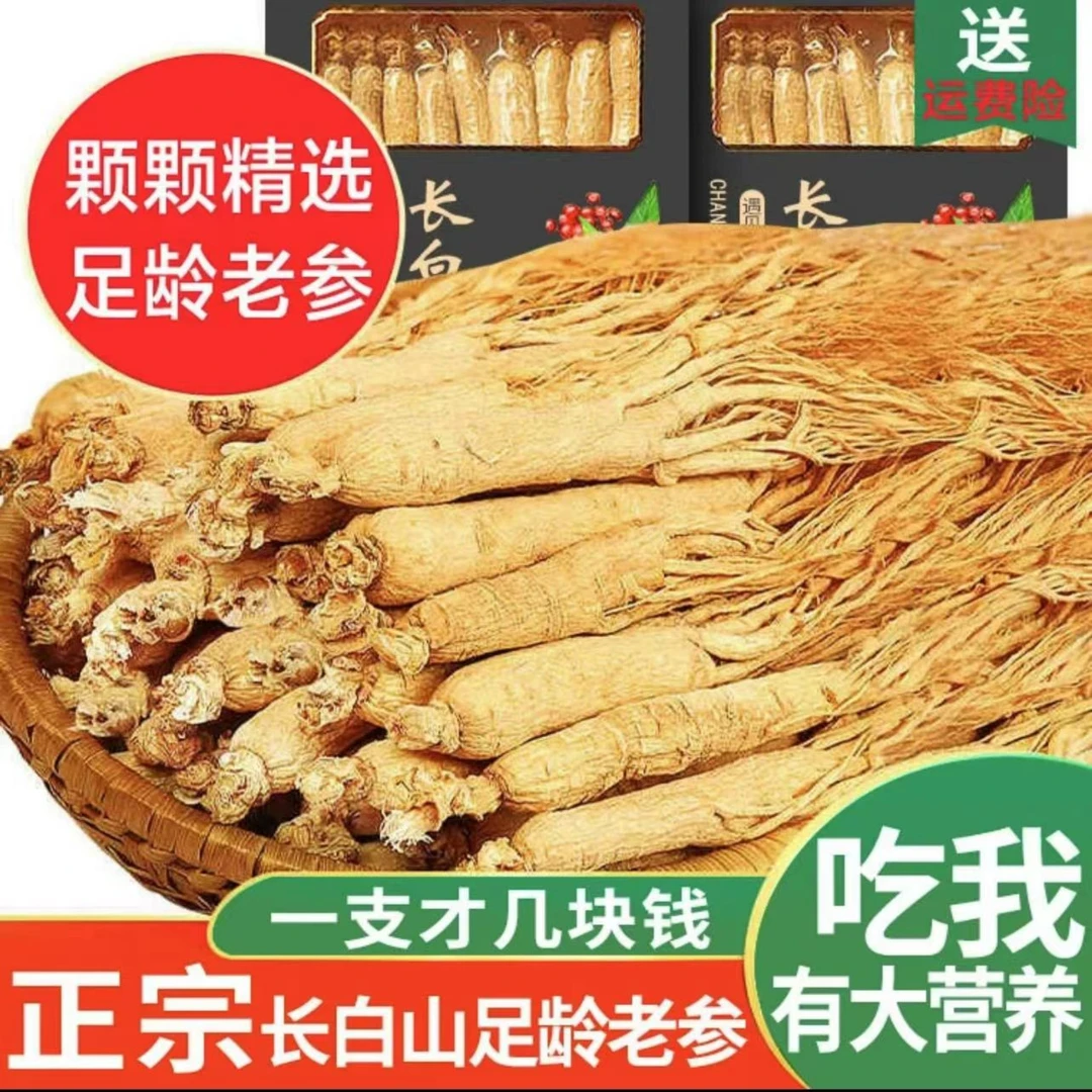 【一根只要几块钱】长白山生晒参，营养丰富，泡酒煲汤，送礼佳品