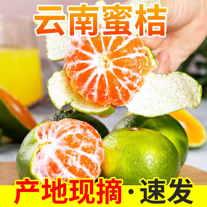 【邮政助农补贴青皮橘子】正宗云南青皮蜜橘桔现摘酸甜多汁新鲜水果