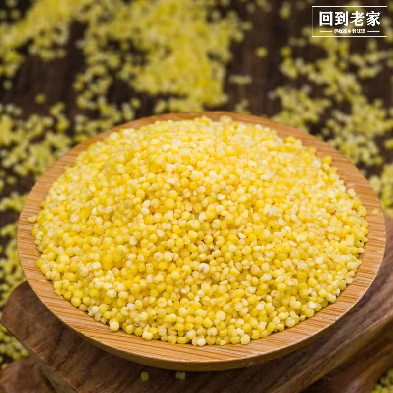 山西2023新小米月子小米辅食粘稠米油多5斤真空香甜食用煮粥方便