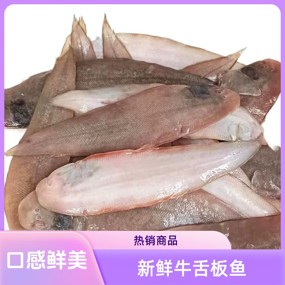 大连龙利鱼牛舌鱼（6条4.2斤）比目鱼舌头鱼踏板鱼生鲜鳎目鱼