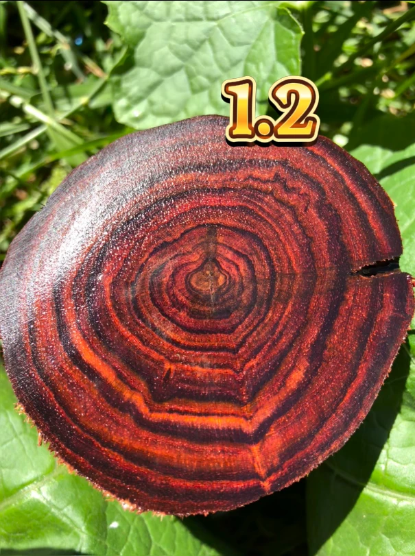 1.2*17颗海南黄花梨降香黄檀原材料定制文玩手串多样性不换不退