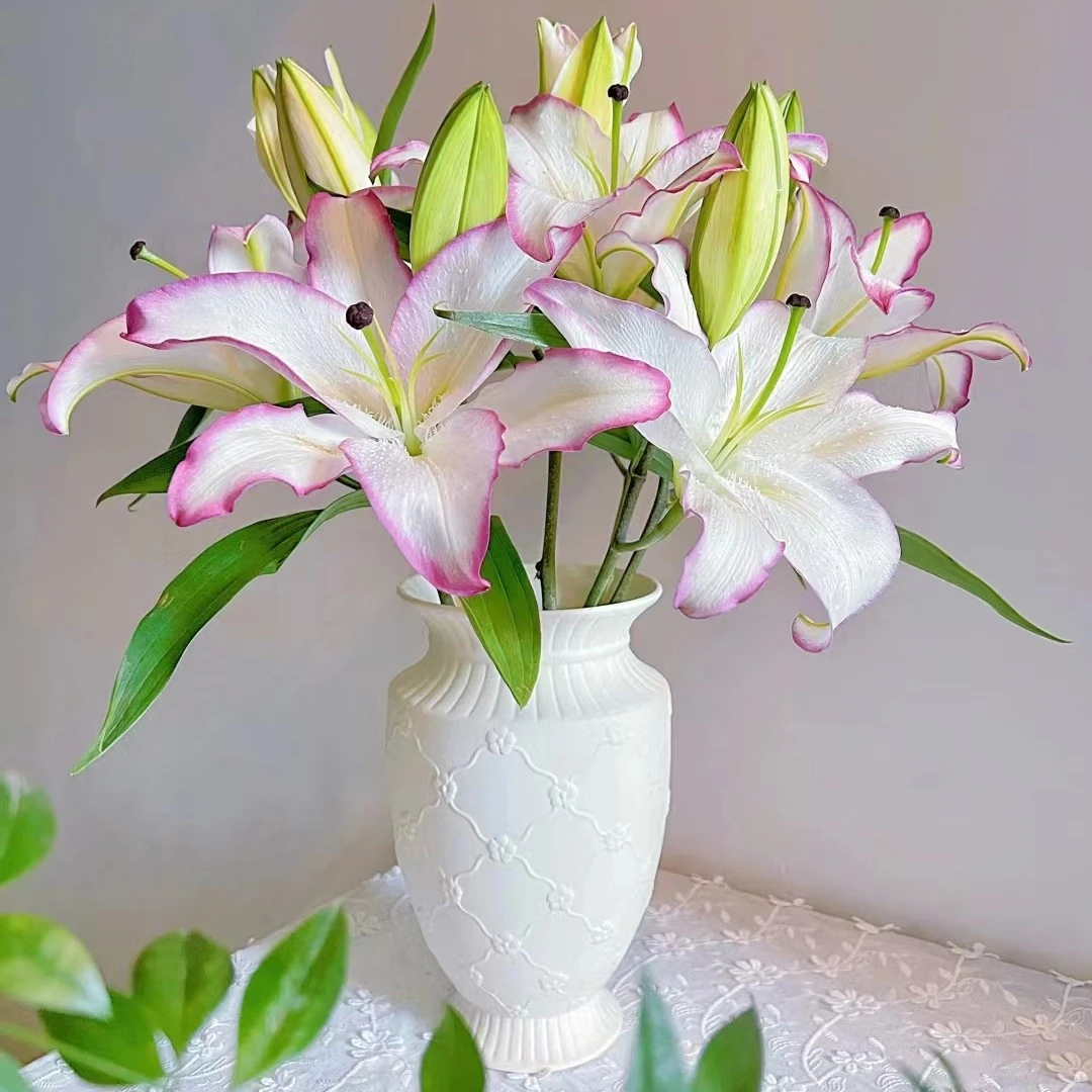 【粉色】唇彩香水百合【5°以下需拍保温棉，否则冻坏不售后】