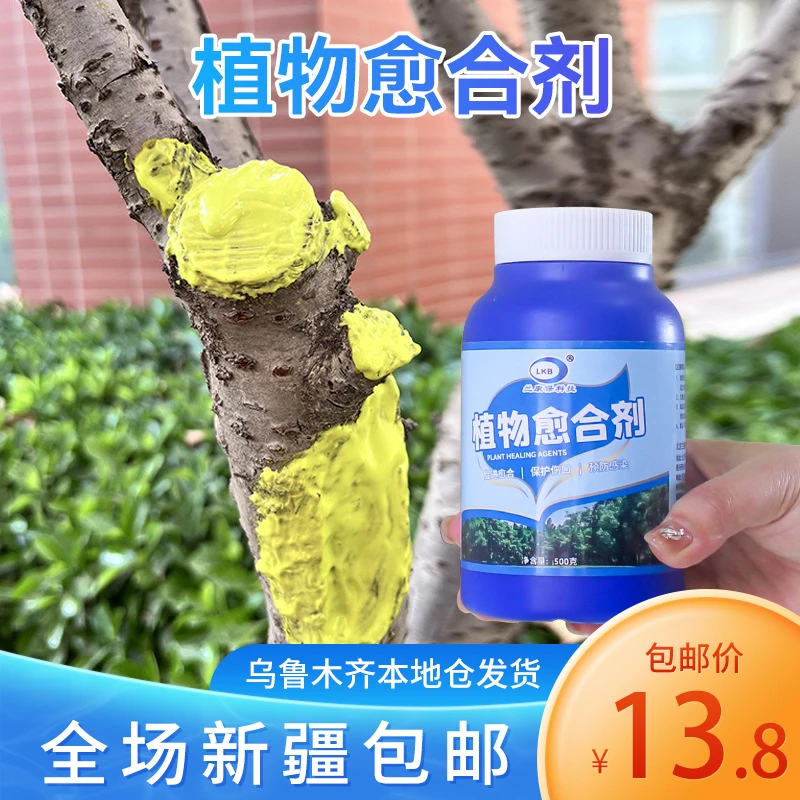 新疆包邮树木伤口树皮愈合剂植物切口愈合修剪伤口嫁接果树枝盆栽