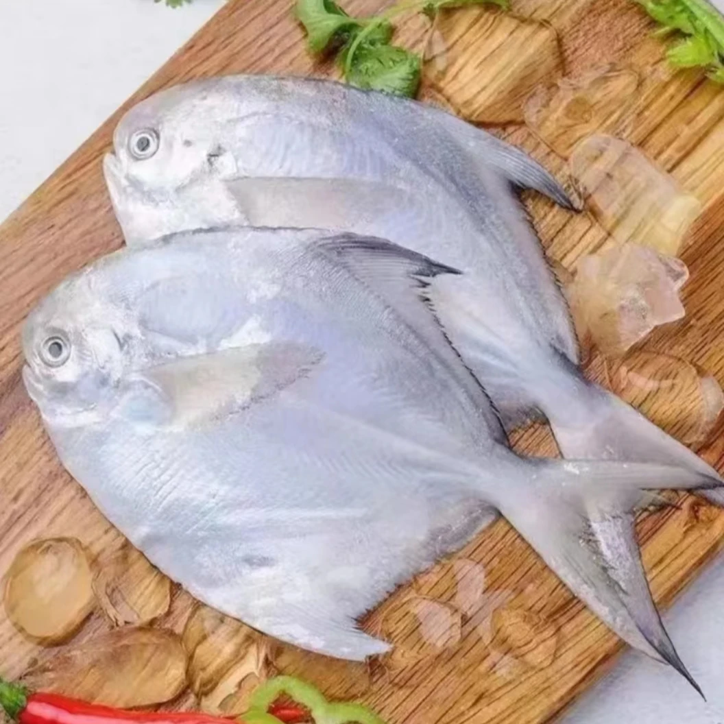 新鲜海捕银鲳鱼 （每包4条）  冷链发货