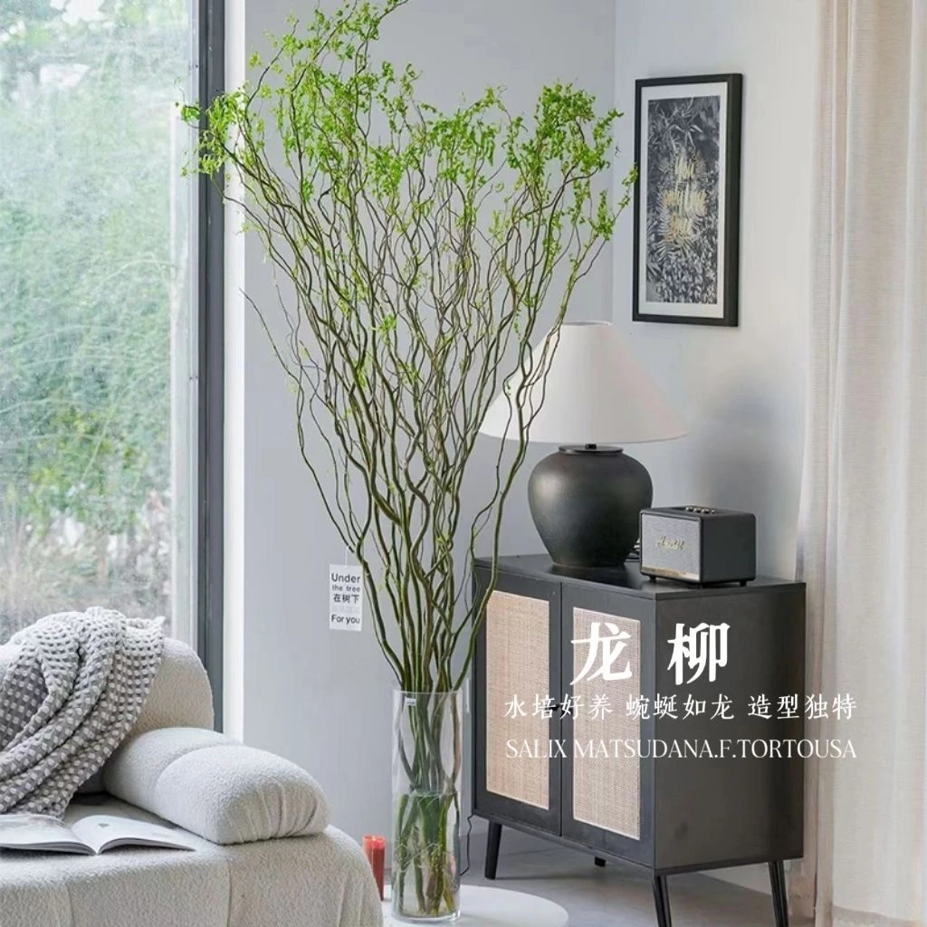 【基地直销】客厅上档次花国风龙柳鲜枝插花客厅水培植物室内水养
