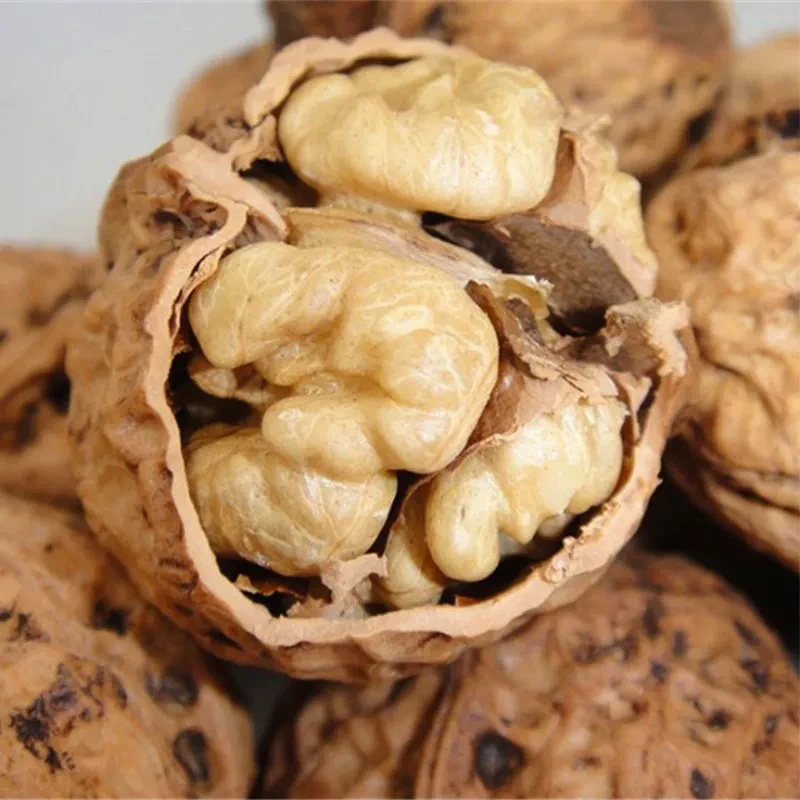 贵州威宁干核桃拍核桃送核桃油