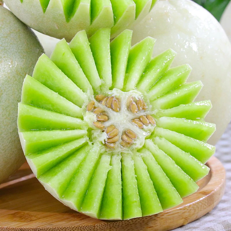 山东聊城玉菇香瓜4.5斤冰淇淋甜瓜新鲜水果香甜美味