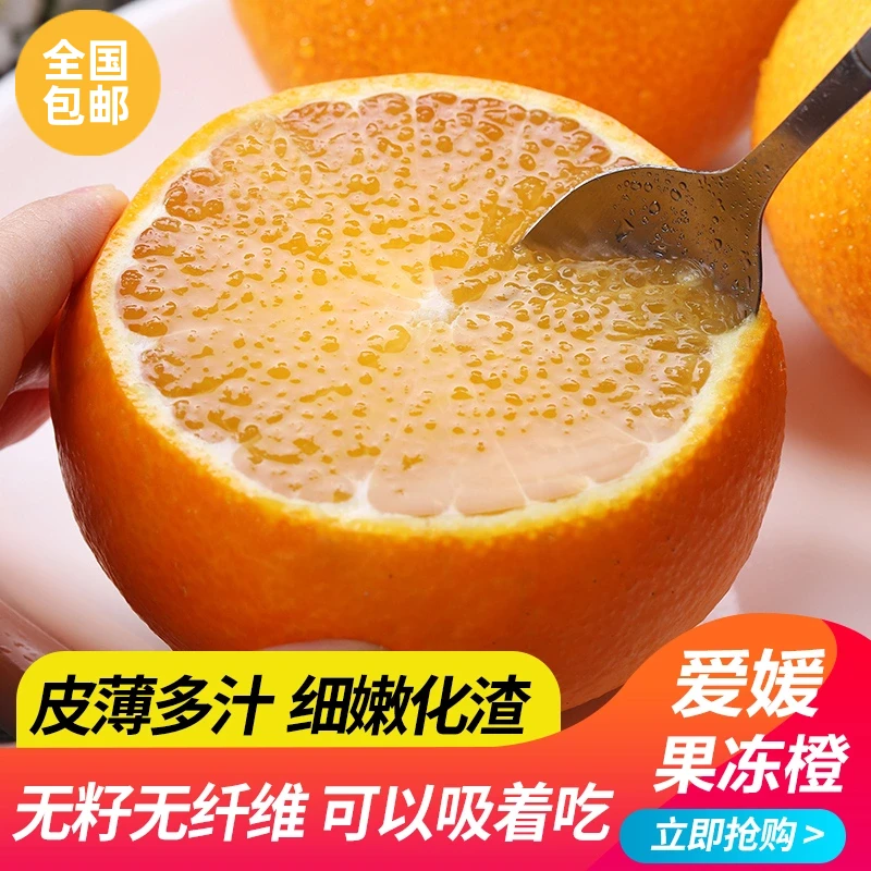 【现摘现发】2025年四川眉山爱媛果冻橙皮薄多汁甜蜜化渣冬天水果