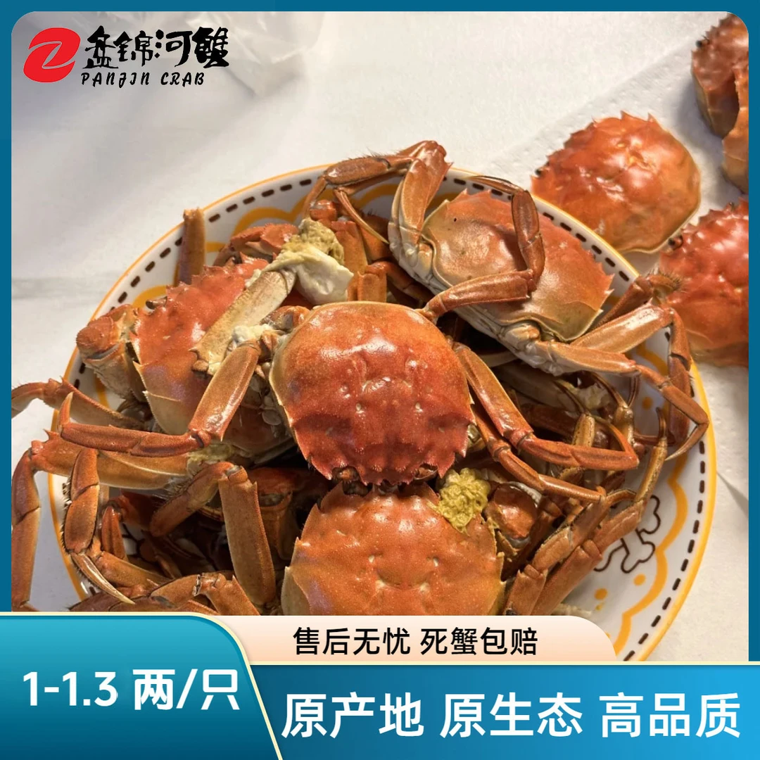 【活蟹】蟹稻臻品 盘锦河蟹稻田蟹（1两-1.3两/只） 共3斤母蟹