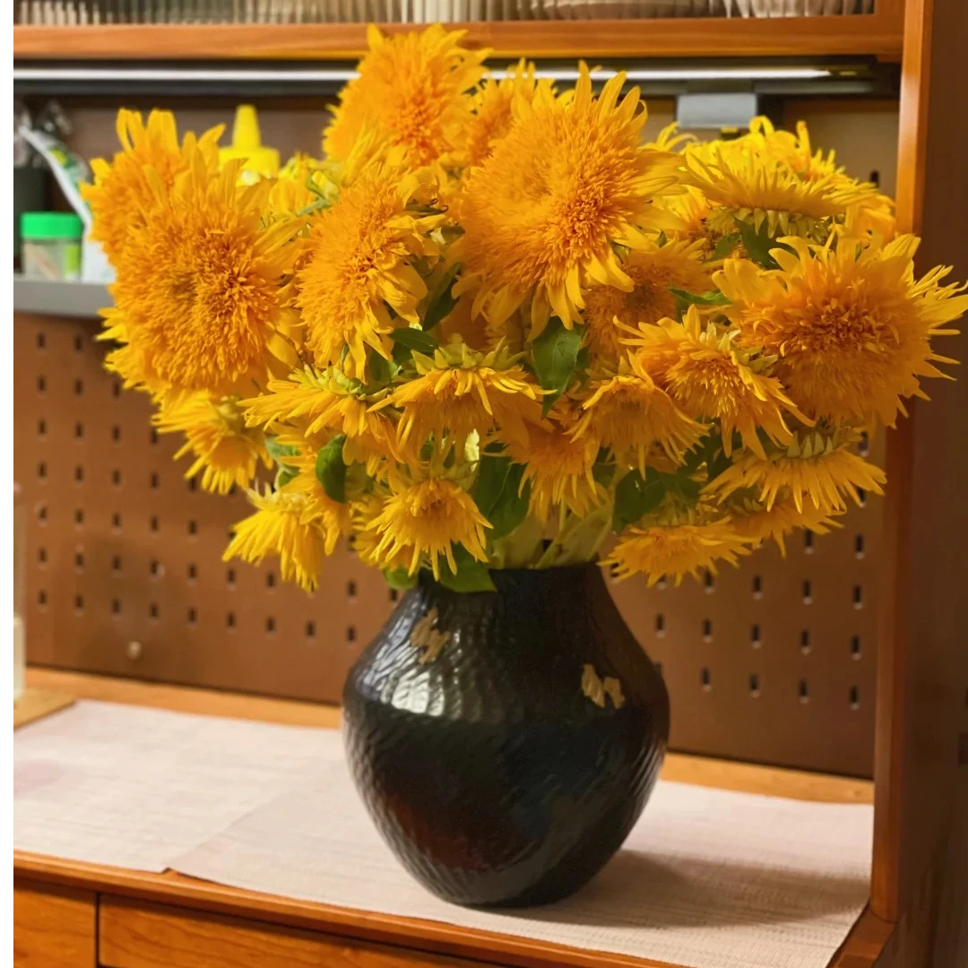 【云艺花舍】A级鲜花（泰迪）向日葵-生活鲜切花-家居摆件插花