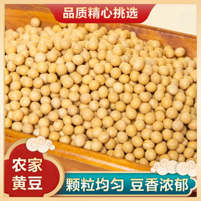 【黄豆】农家黄豆200克/袋当季新豆可打豆浆小黄豆五谷杂粮黄小豆