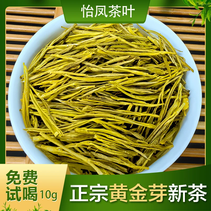 正宗黄金茶茶叶2024年新茶核心产地春茶绿茶