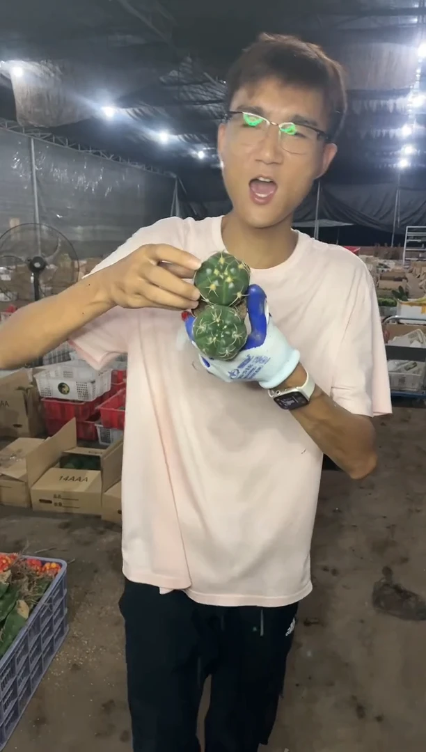 【闪购商品】实生海王两颗11.99