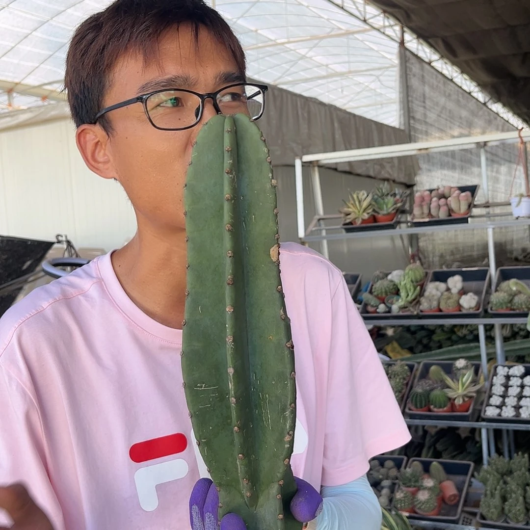 717.6无根量天尺30cm9.99