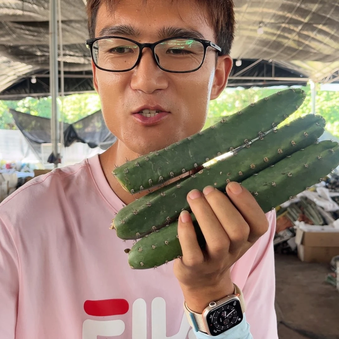 717.30黑刺袖蒲3颗9.99