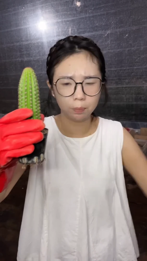 【闪购商品】8.16-19金一9.99