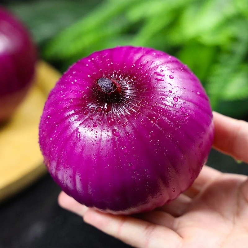 绿业香云南高山现挖水果洋葱紫皮农家自种5斤装